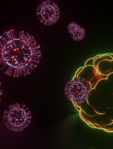 corona virus