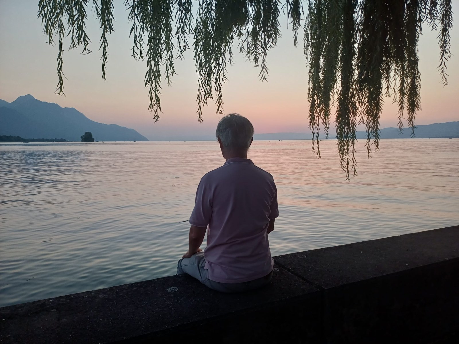 Song en Tai Chi et Neigong : se relâcher sans devenir mou